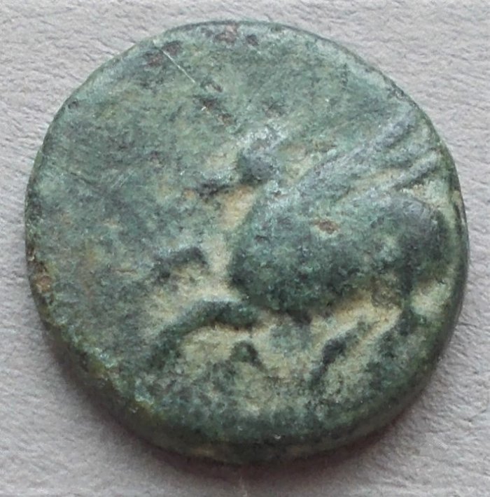 Post-Your-Coins-With-Horses